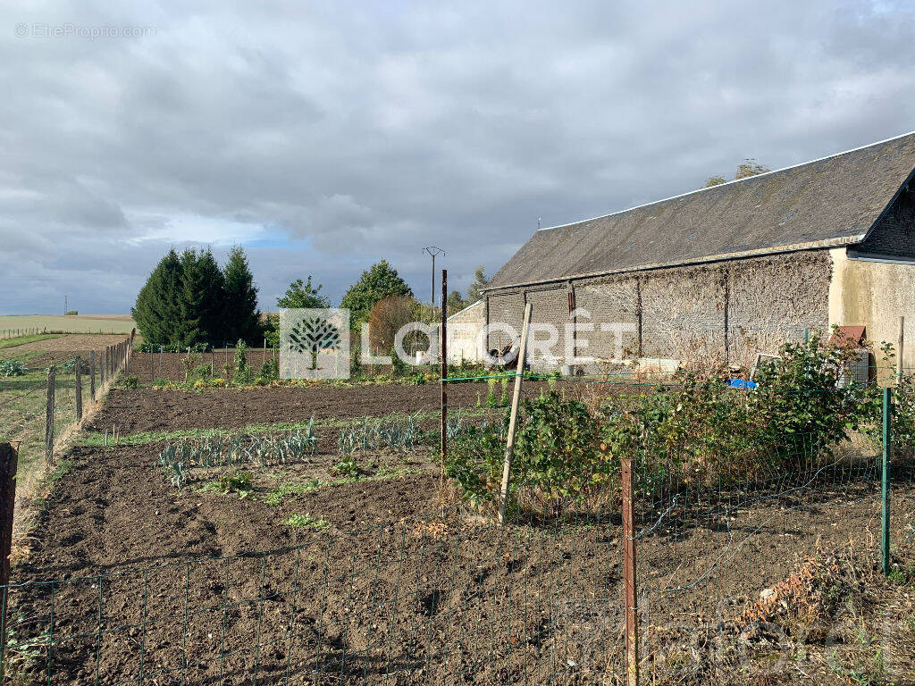 Terrain à ALAINCOURT