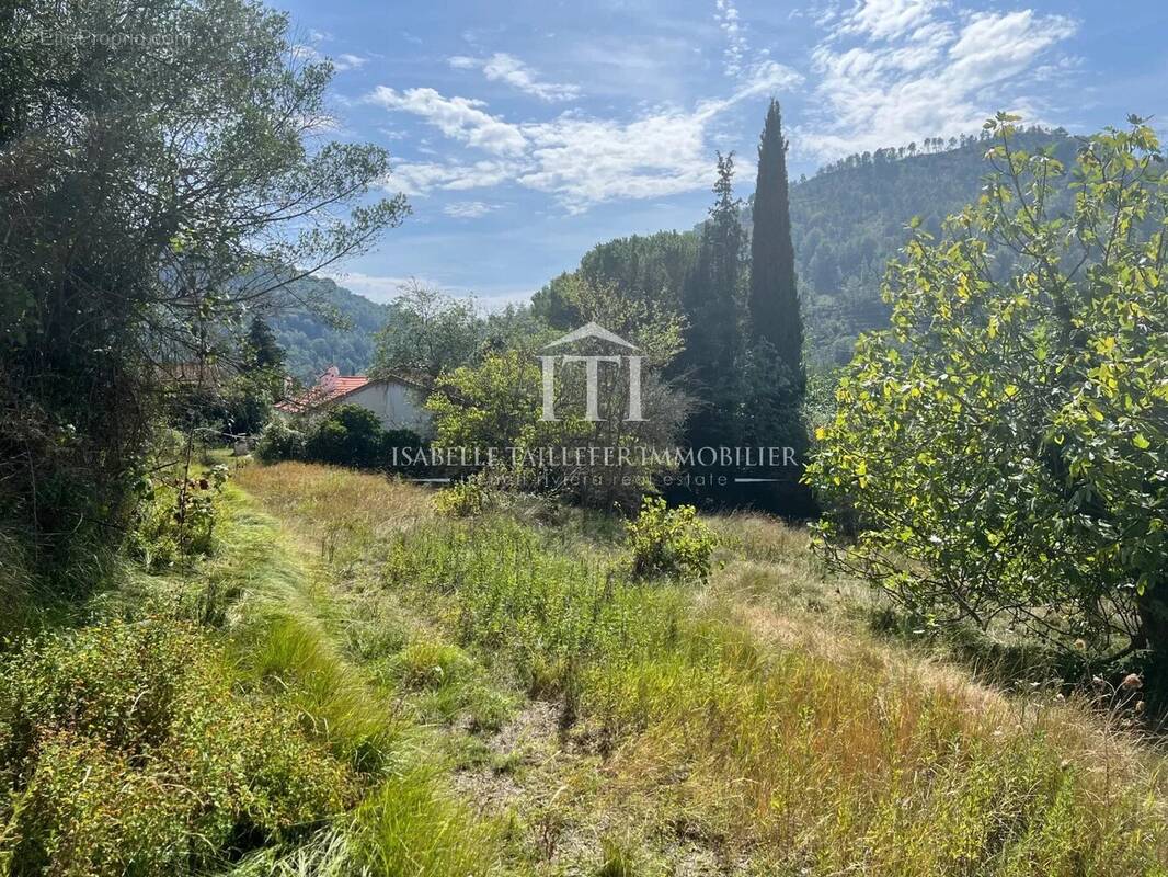 Terrain à L'ESCARENE