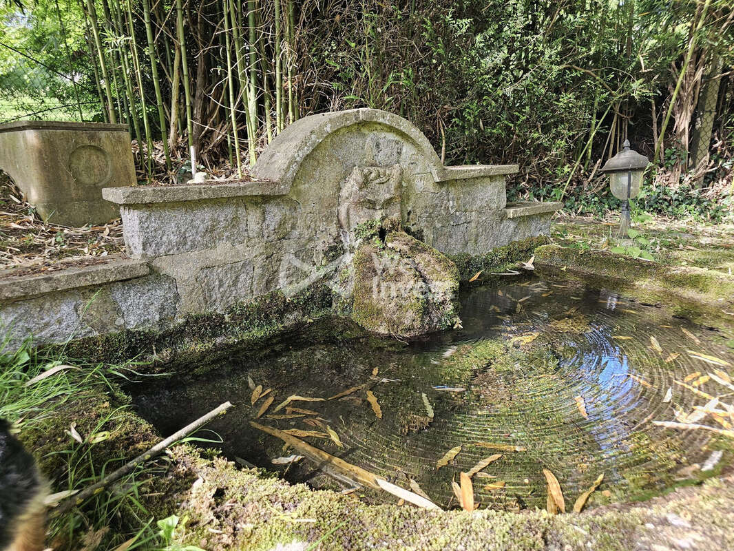 La source naturelle dans le jardin.
