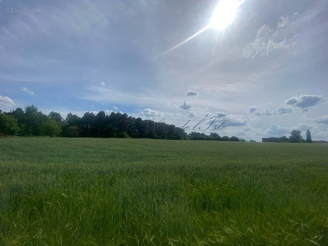 Terrain à MONTREM