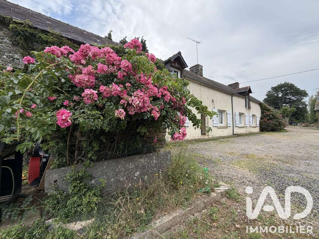 Photo 5 - Maison à SAINT-MARTIN