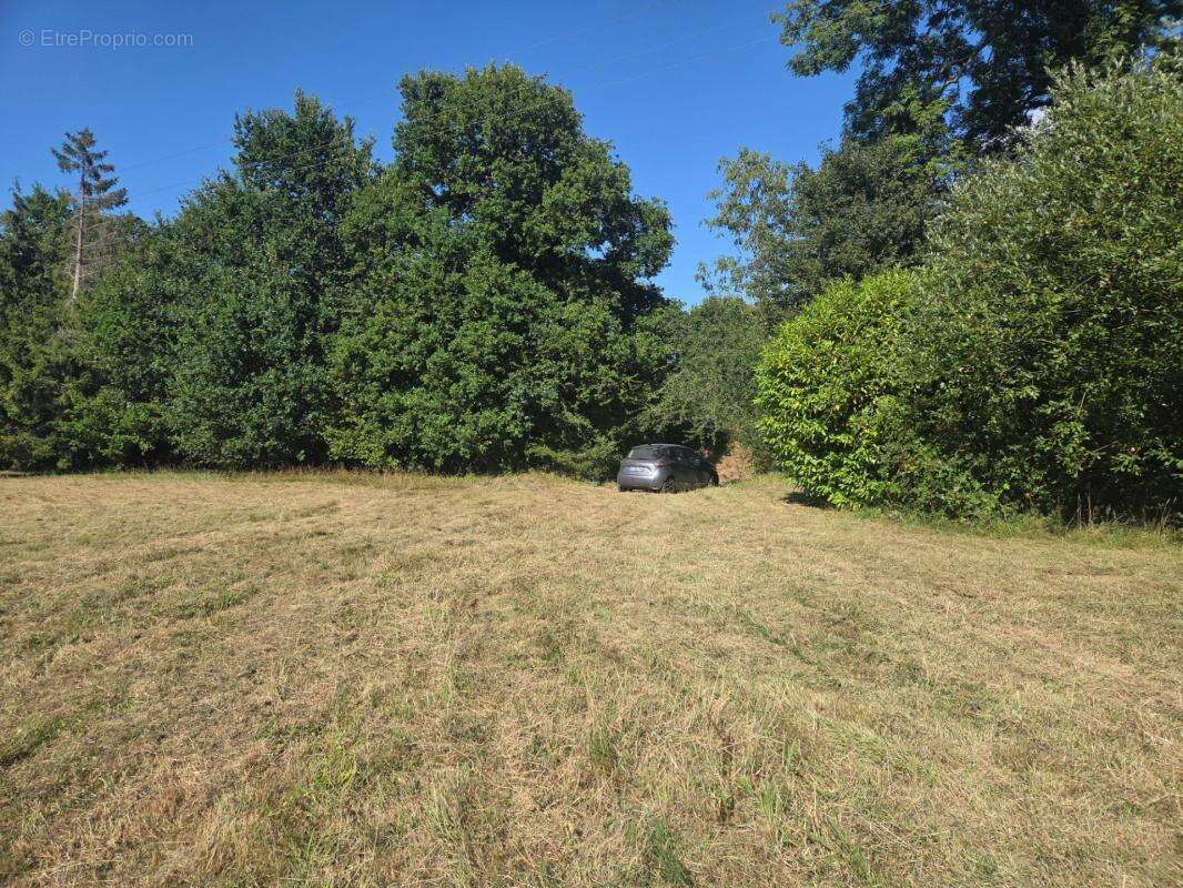 Terrain constructible à vendre 3211 M2 BONNEVILLE LA LOUVET (14) - photo 3