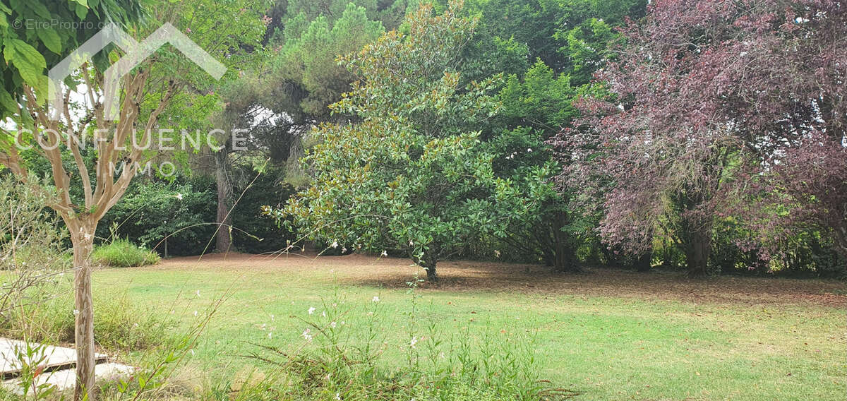 Maison à DAMAZAN