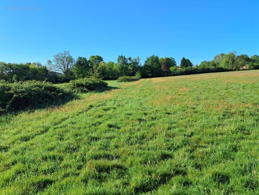 Terrain à VAYRES