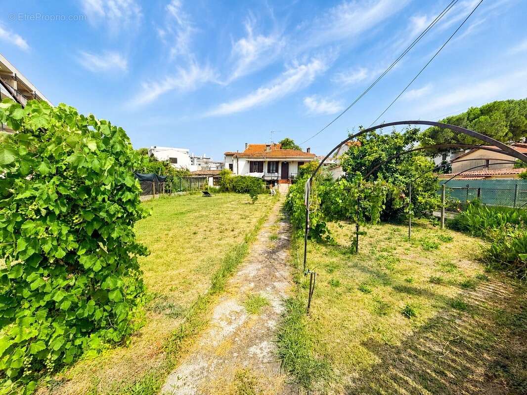 Cagnes-sur-mer - propriété de 2 maisons - terrain plat de 2 400 m² - photo 13