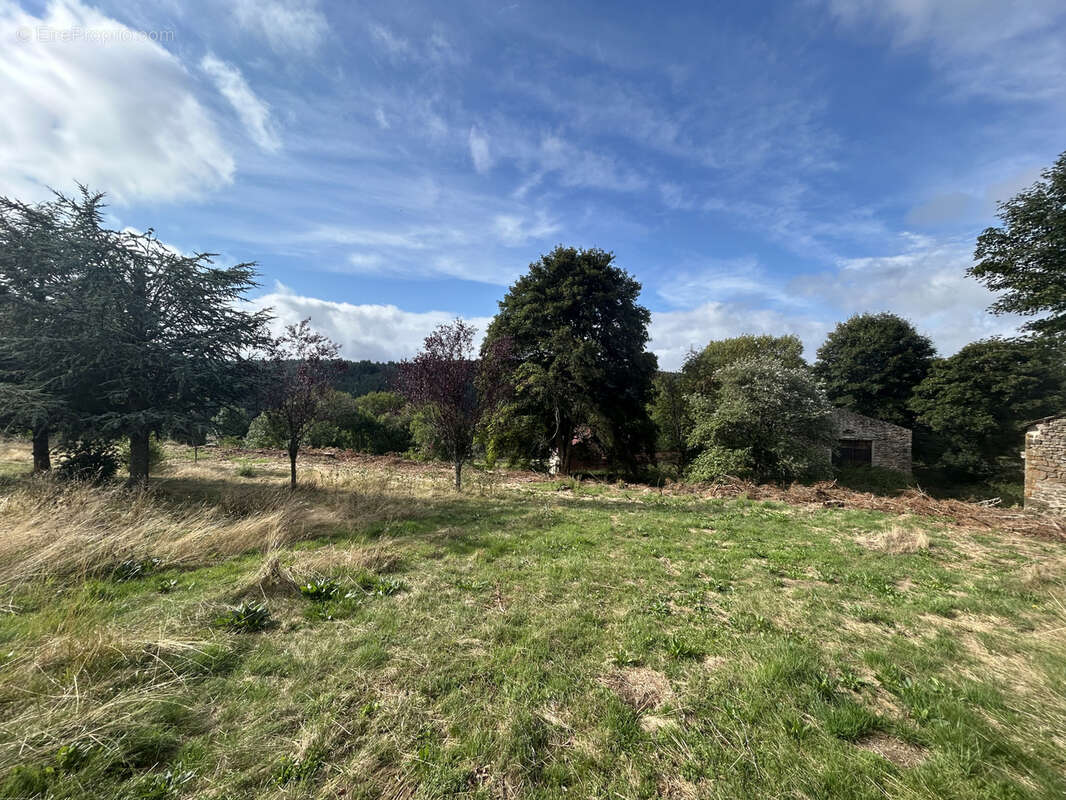 Terrain à LANARCE
