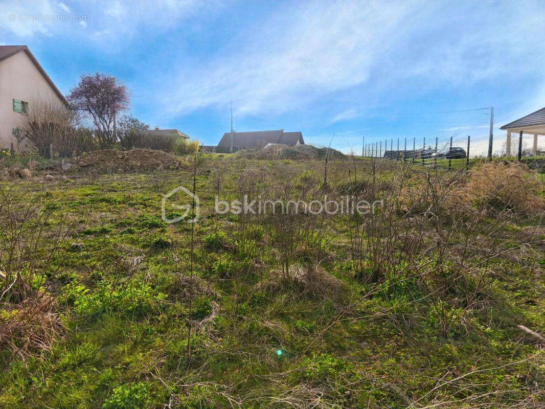 terrain a vendre de 1169 M2 - photo 2