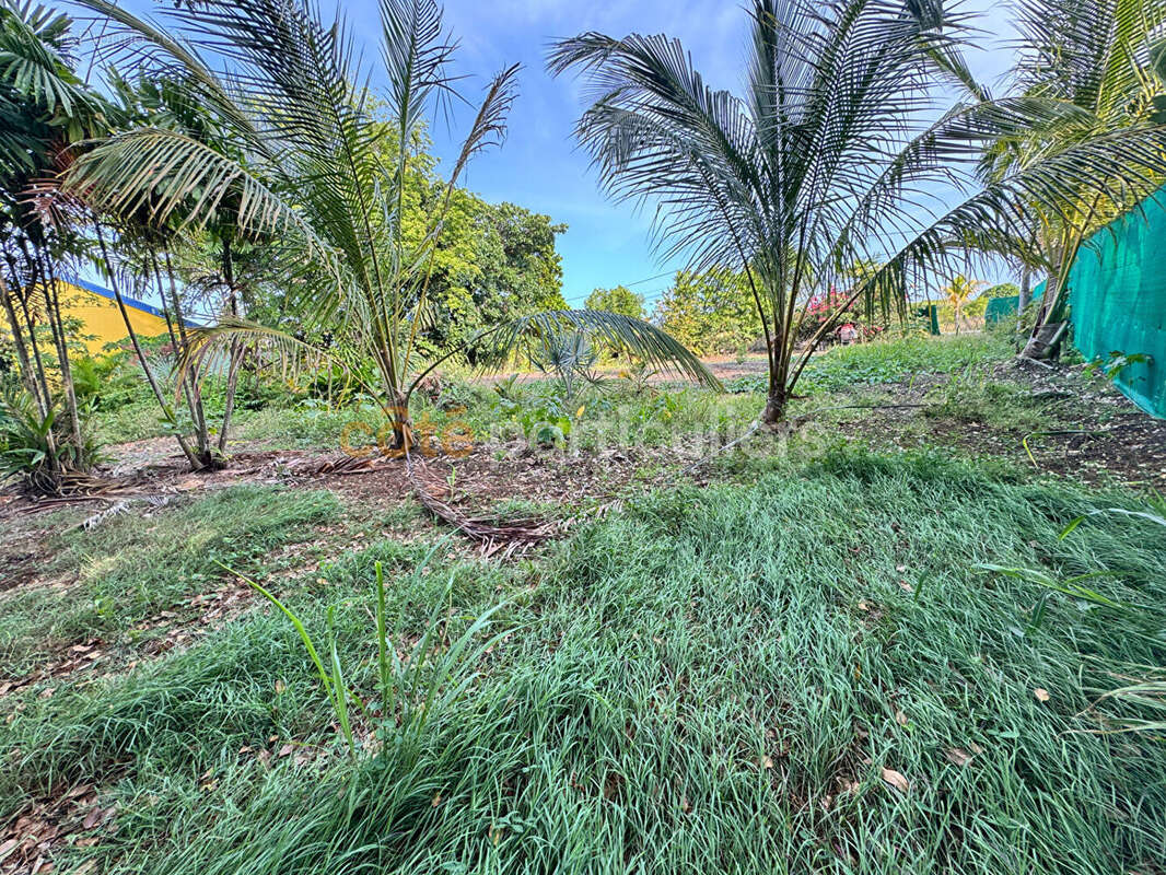 À VENDRE - Terrain plat et clôturé de 1 018 m² -Saint-François, secteur Bien Désiré - photo 2