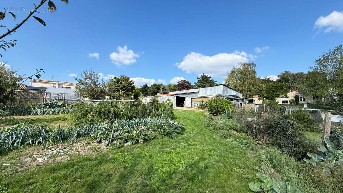 Terrain à LA ROCHE-SUR-YON