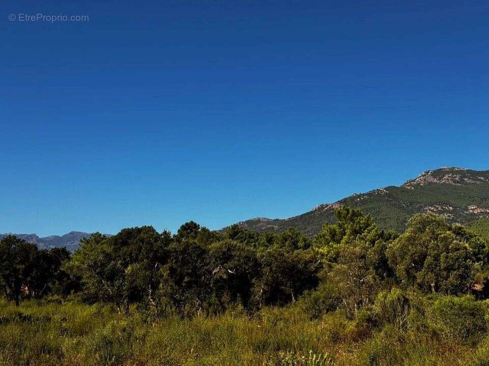 Maison à PORTO-VECCHIO