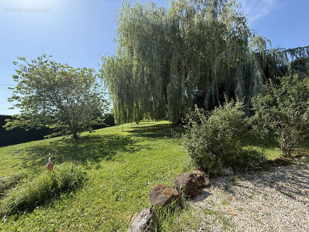 Maison à THAUVENAY