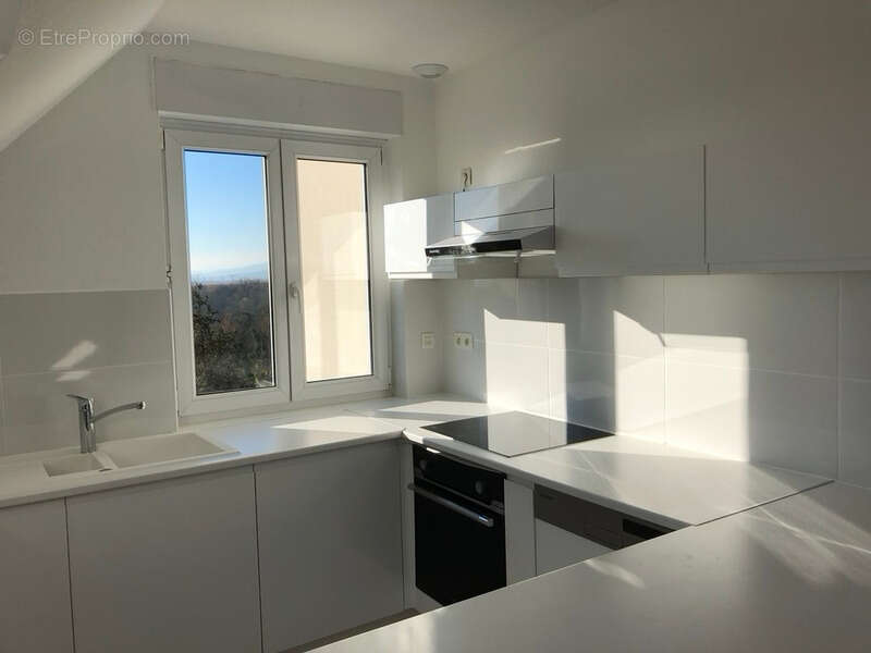 3 pièces sur les collines, à proximité de MOLSHEIM - photo 2