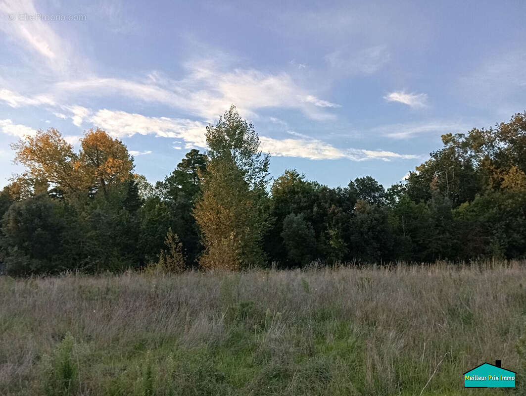 Terrain à SAINT-JEAN-DE-MONTS