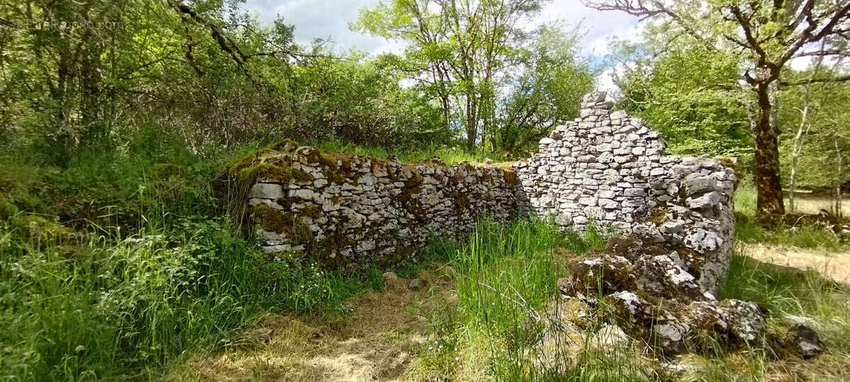 Maison à SAINT-PROJET