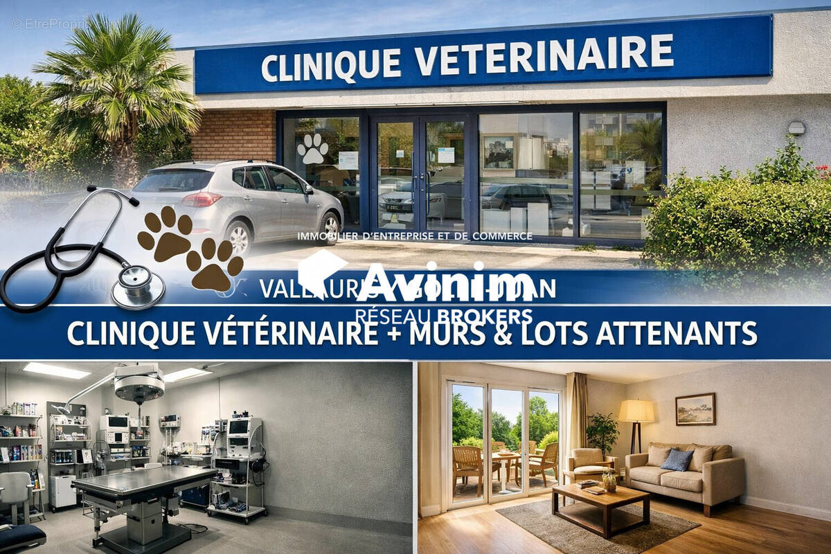 Commerce à VALLAURIS