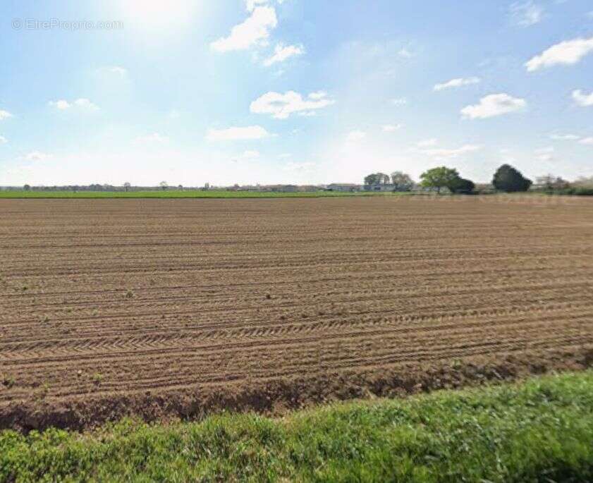 Terrain à CORME-ROYAL