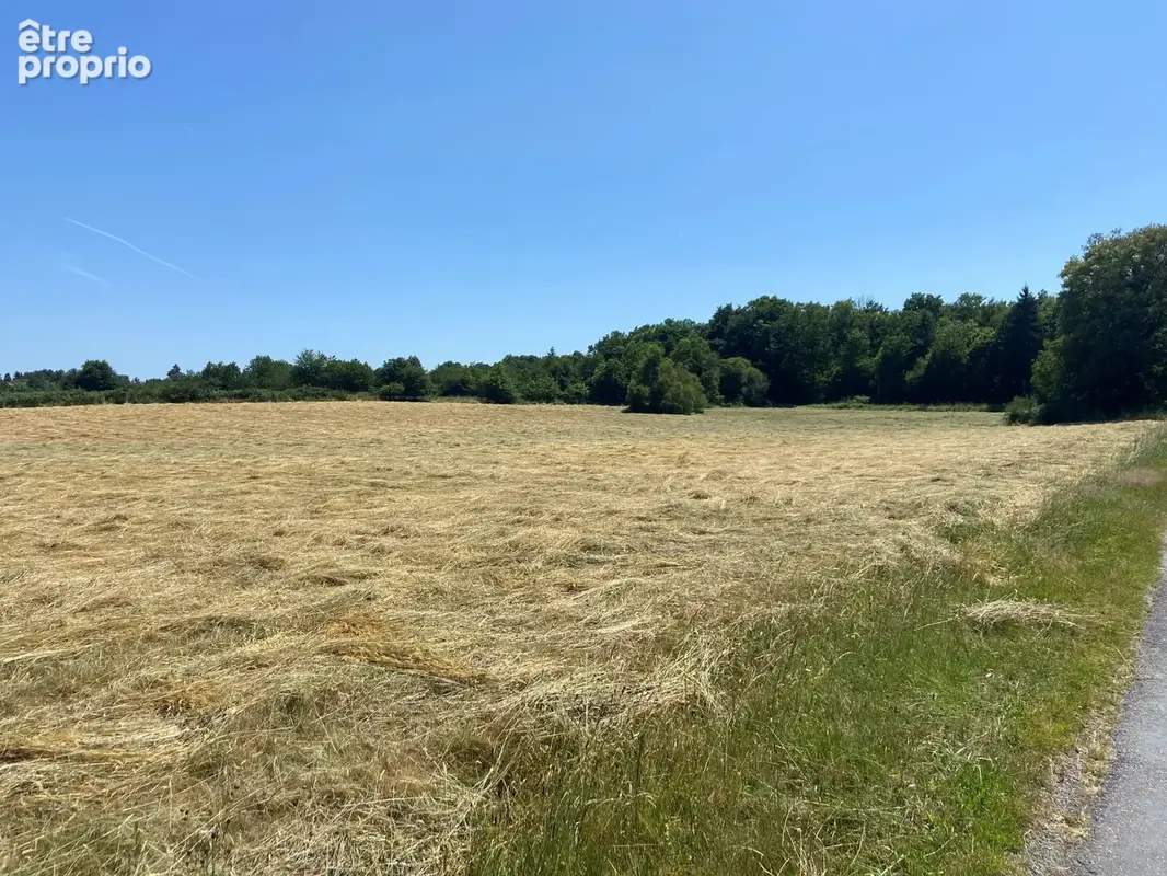 Terrain agricole de 1ha76a - photo 2