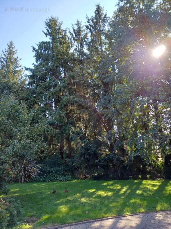 Maison à LA FERRIERE