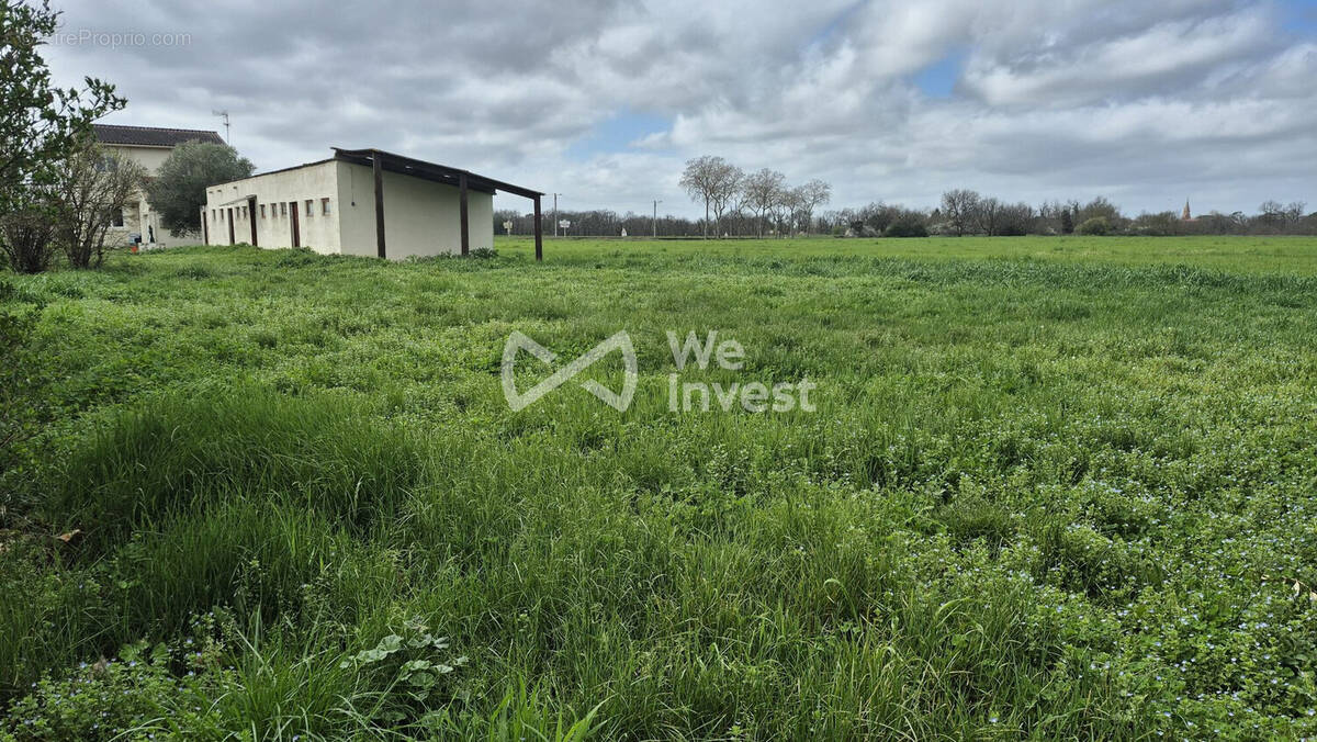 Terrain à MONDONVILLE