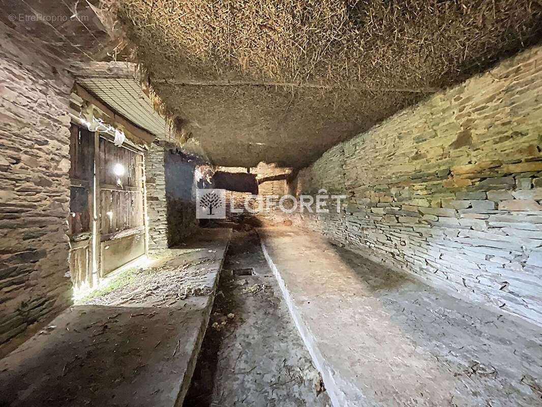 Maison à SIXT-SUR-AFF