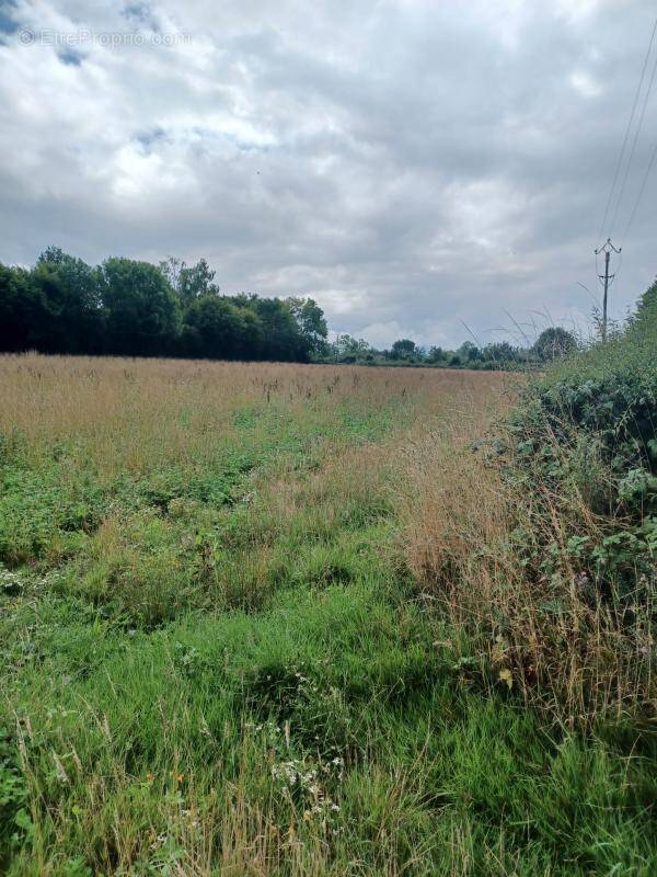 Terrain à LANDEPEREUSE