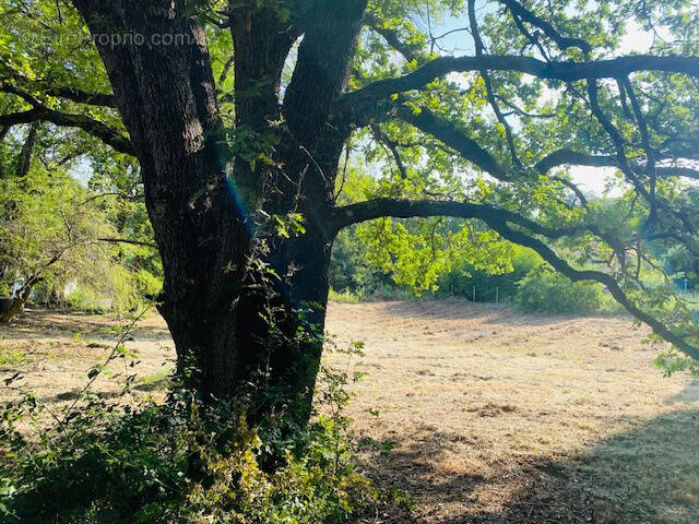 Terrain à UZES