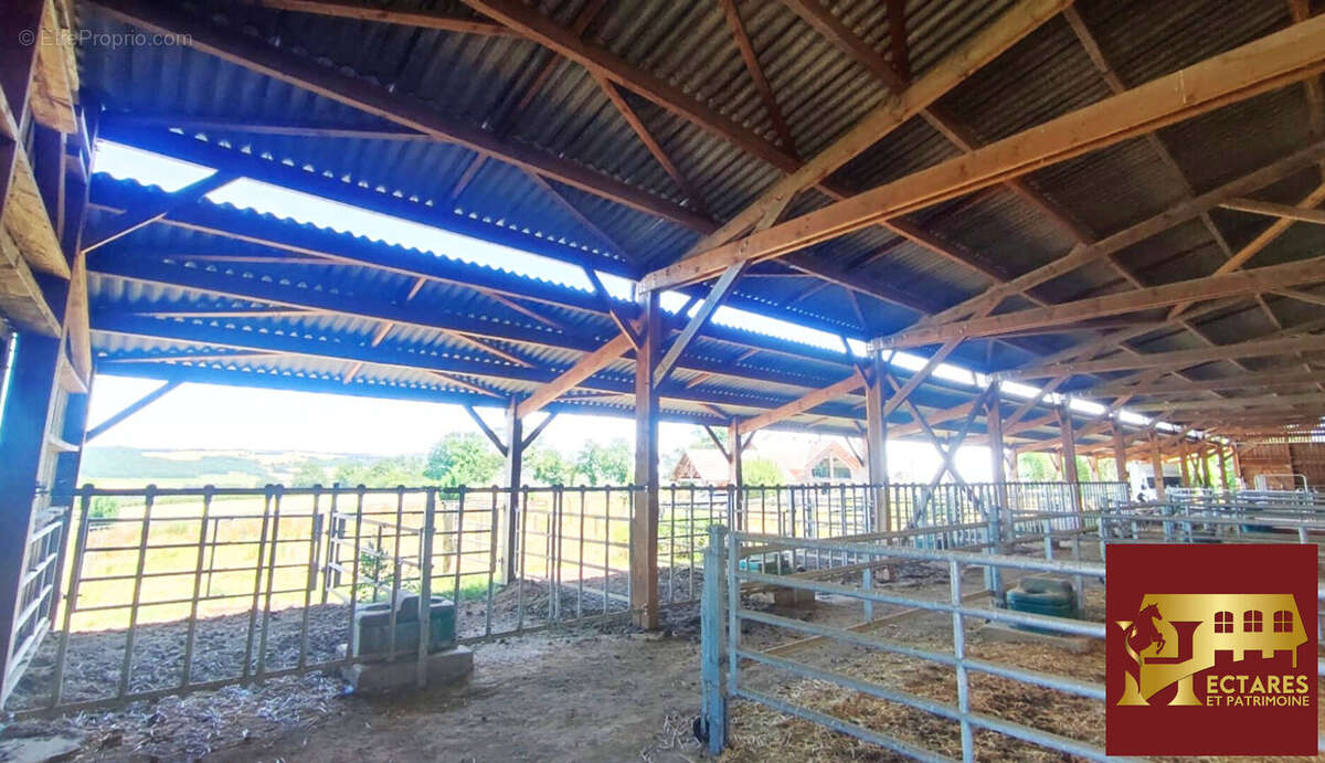 Propriété équestre 2,6 hectares - photo 12