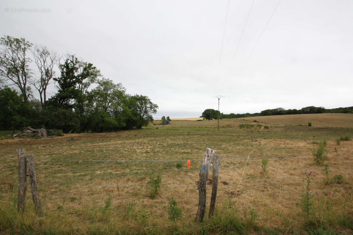 Terrain à PIBLANGE