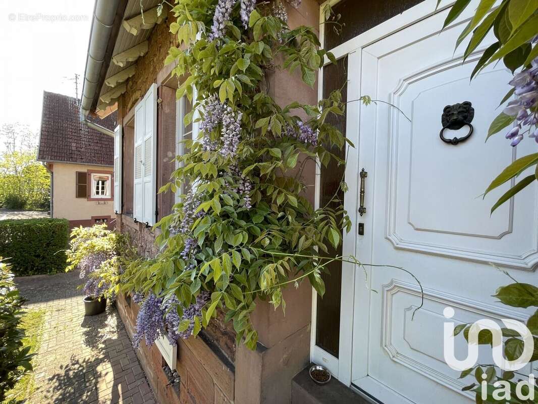 Photo 2 - Maison à GUNDERSHOFFEN
