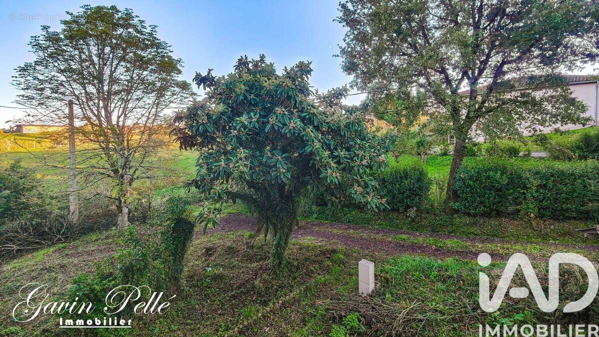 Photo 2 - Maison à MONESTIES