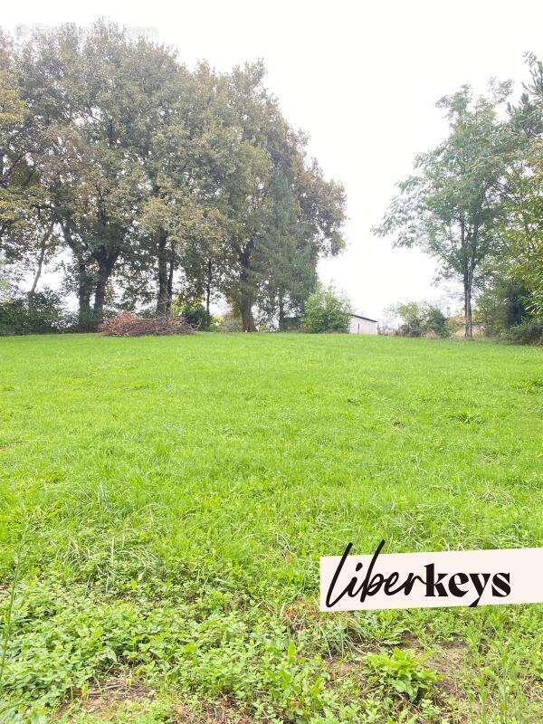 Terrain à SAINTE-COLOMBE