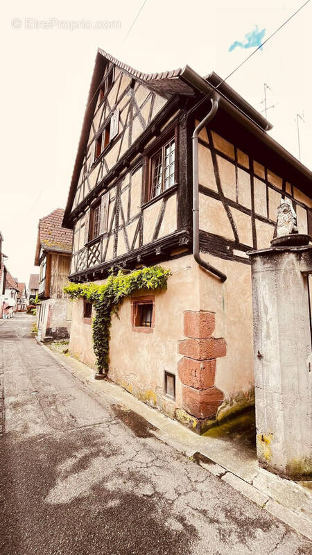 Appartement à WISSEMBOURG