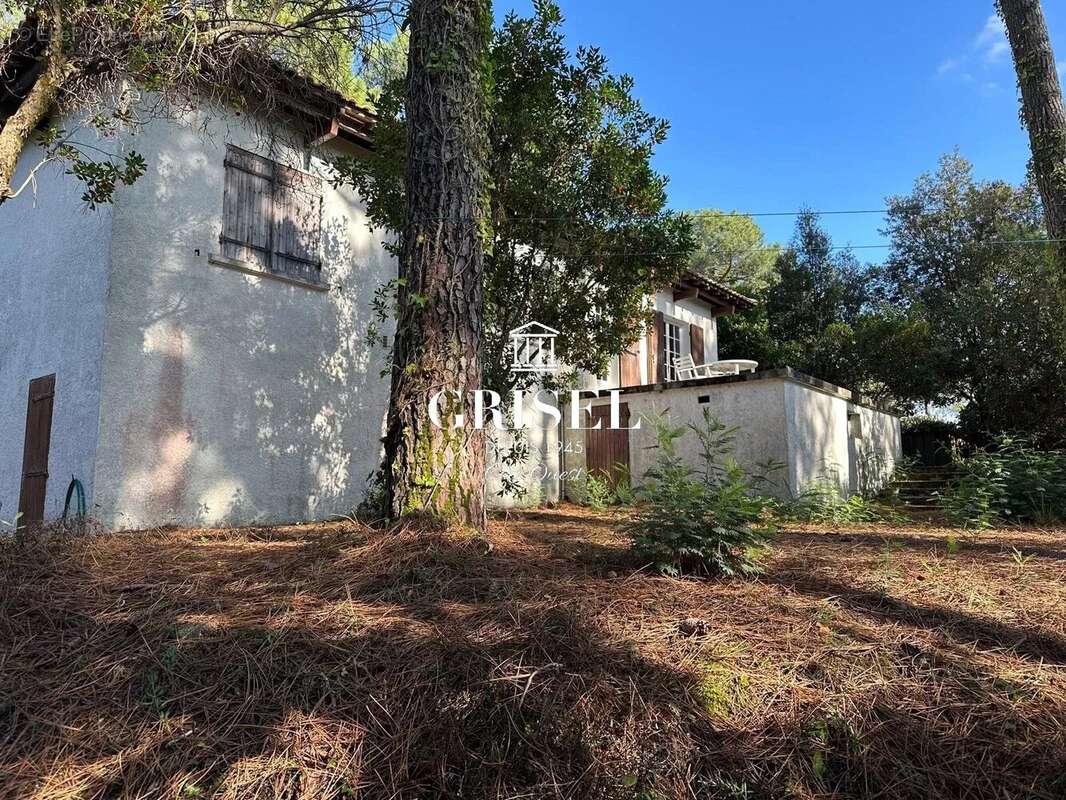 Maison à LEGE-CAP-FERRET