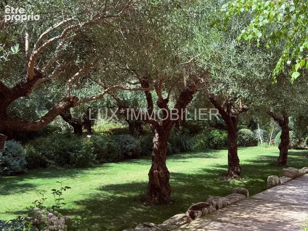 Paradou - au cœur des alpilles - photo 24