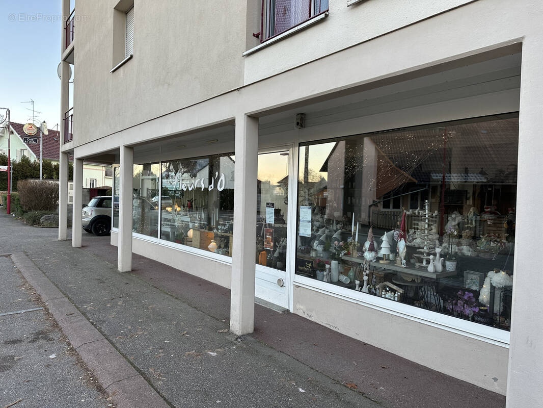 Commerce à BARTENHEIM