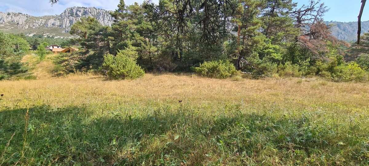 Terrain constructible de 1 990 m² – Un cadre naturel privilégié - photo 10