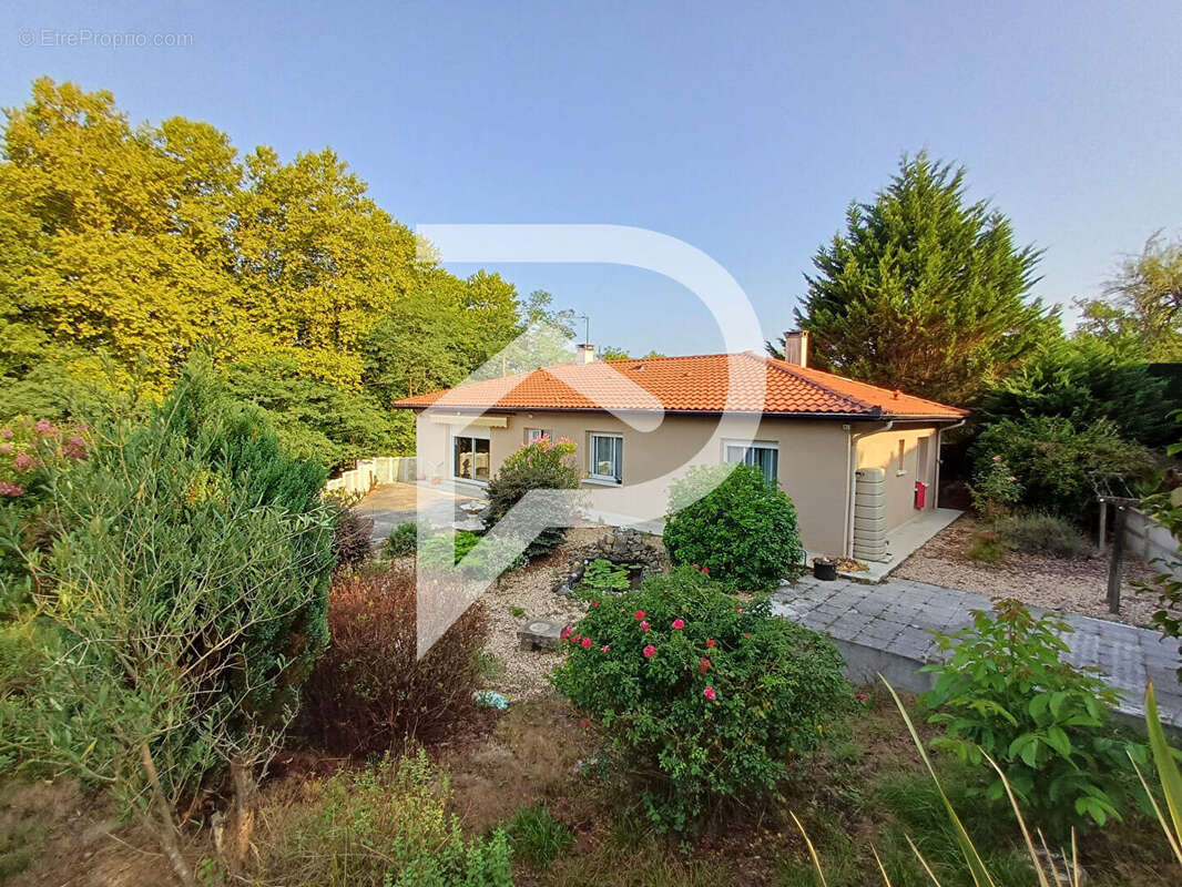 Maison Peyrehorade 6 pièces 144 m² avec studio - photo 2