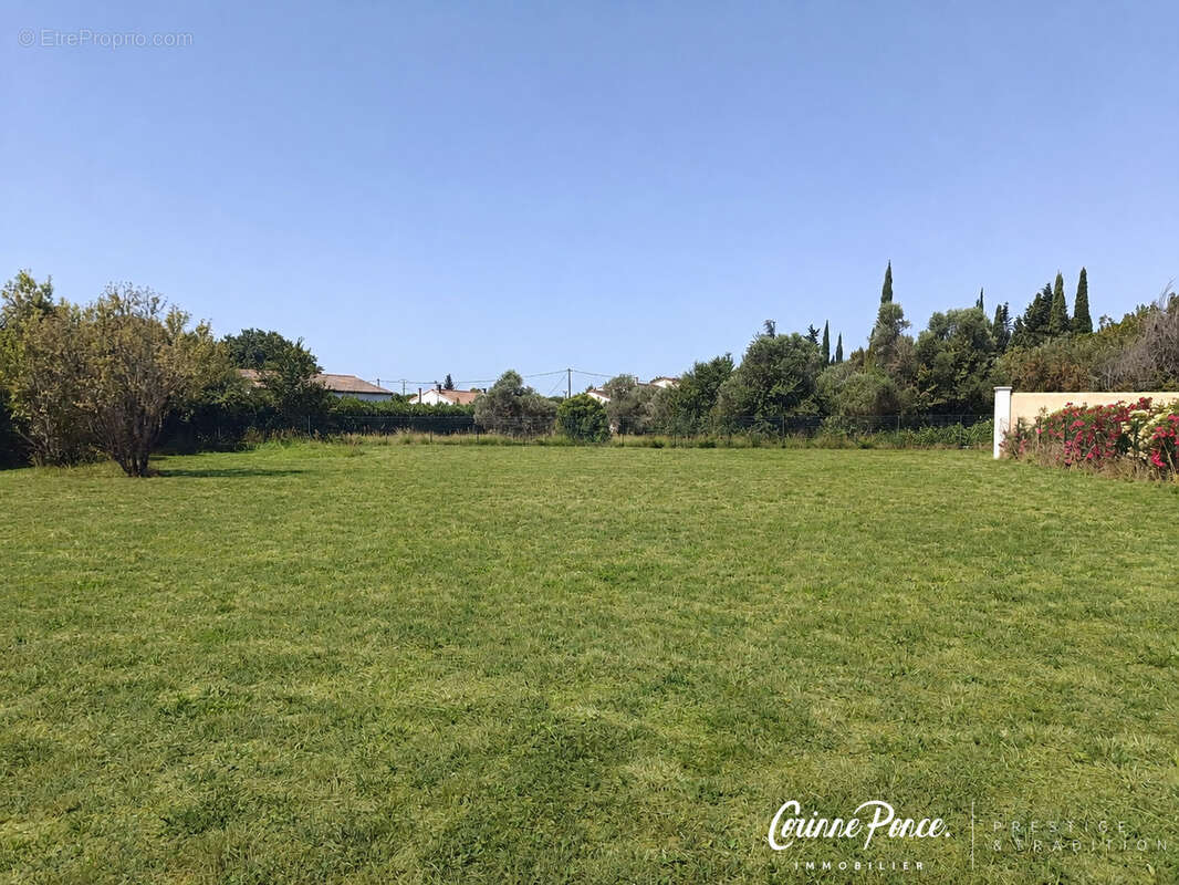 Terrain constructible de 1180m2 a viabiliser corinne ponce - photo 3