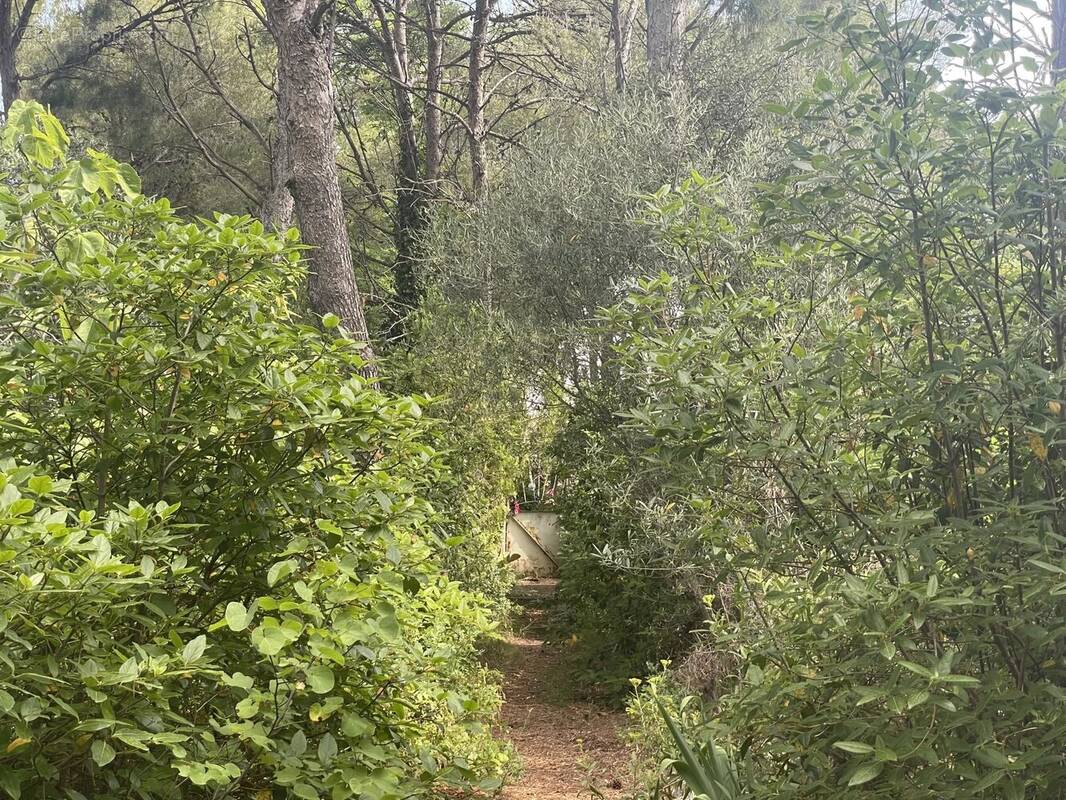 Maison à SAUSSET-LES-PINS