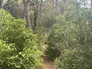 Maison à SAUSSET-LES-PINS