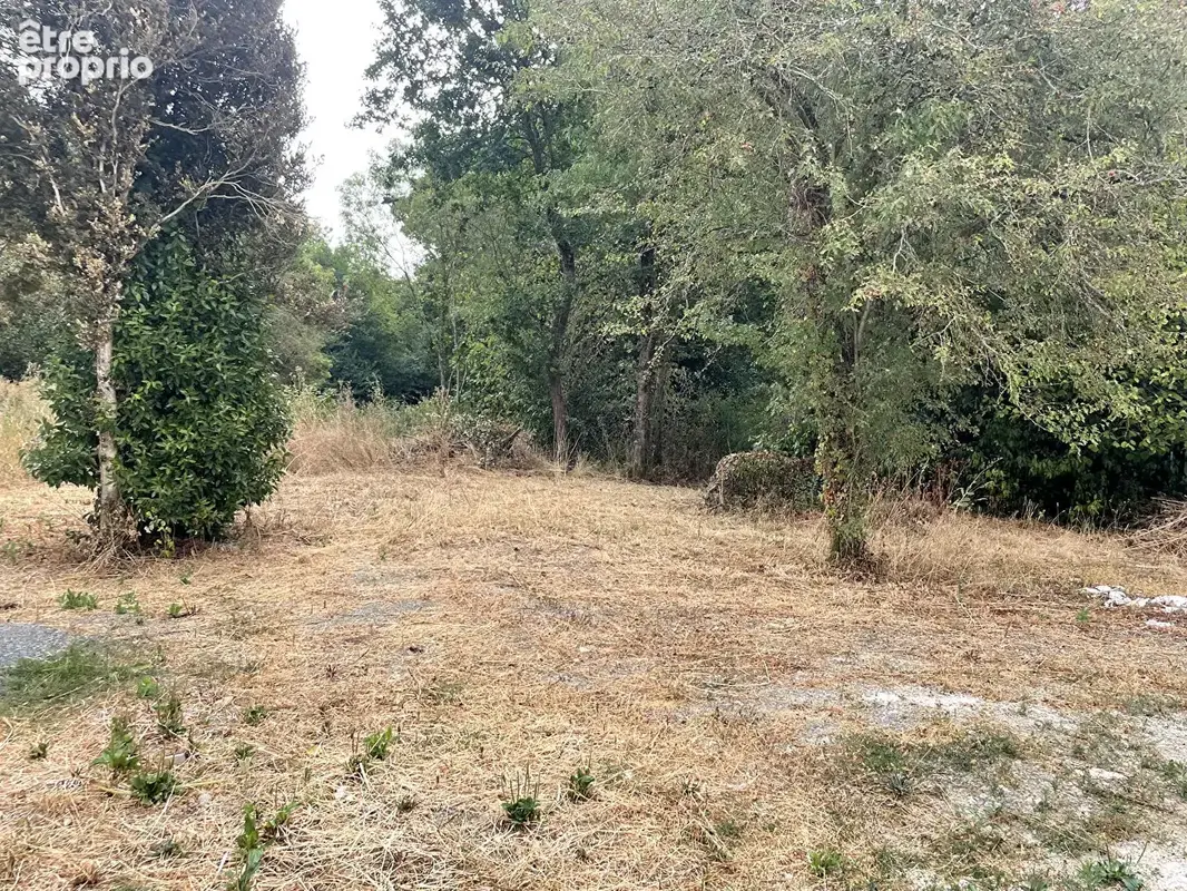 La limouzinière - photo 10