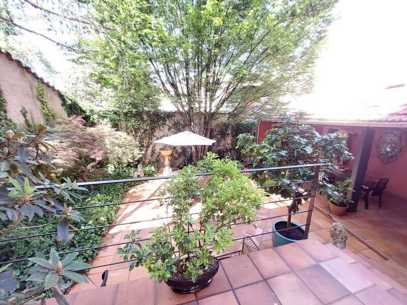 Maison à ALBI