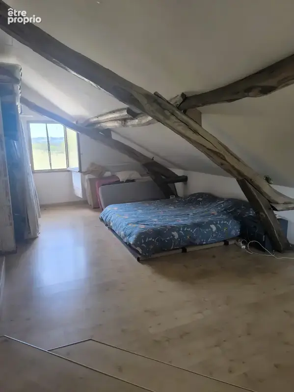 Dauphinoise de charme au calme, cadre champêtre sur 12090 m2 de terrain, box chevaux située à Charancieu - photo 19