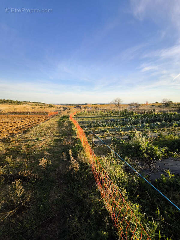 Maison à CAZOULS-LES-BEZIERS