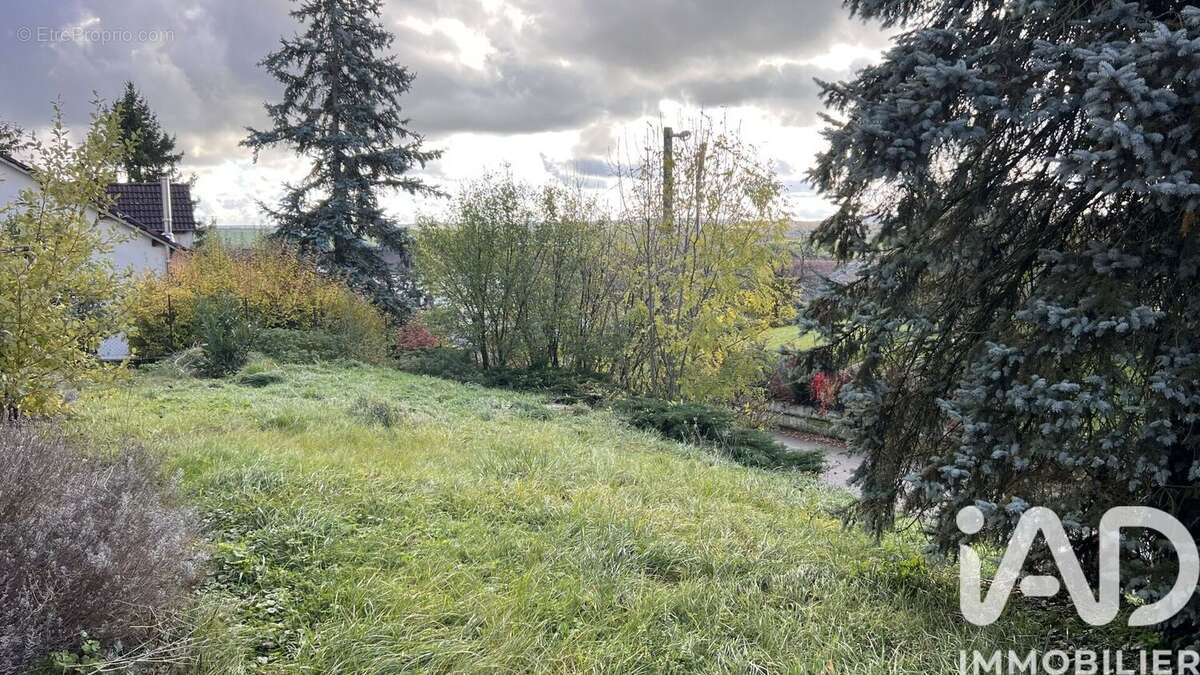 Photo 6 - Maison à DOMMARTIN-SUR-VRAINE