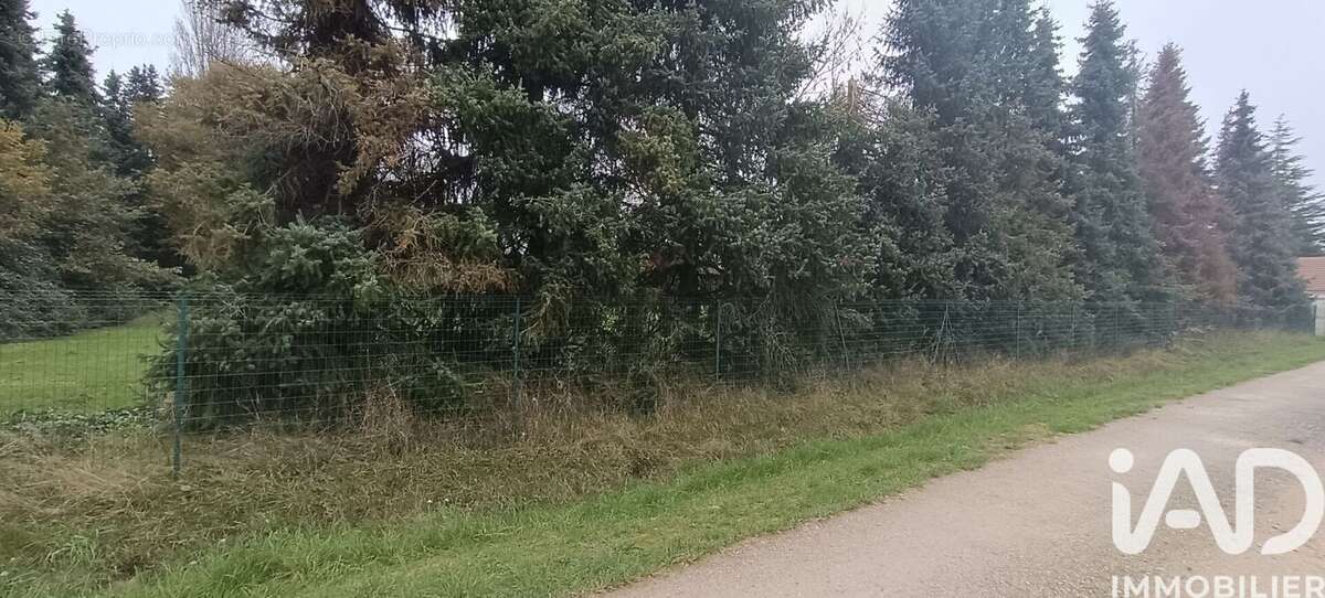 Photo 7 - Terrain à MAZIERES-DE-TOURAINE