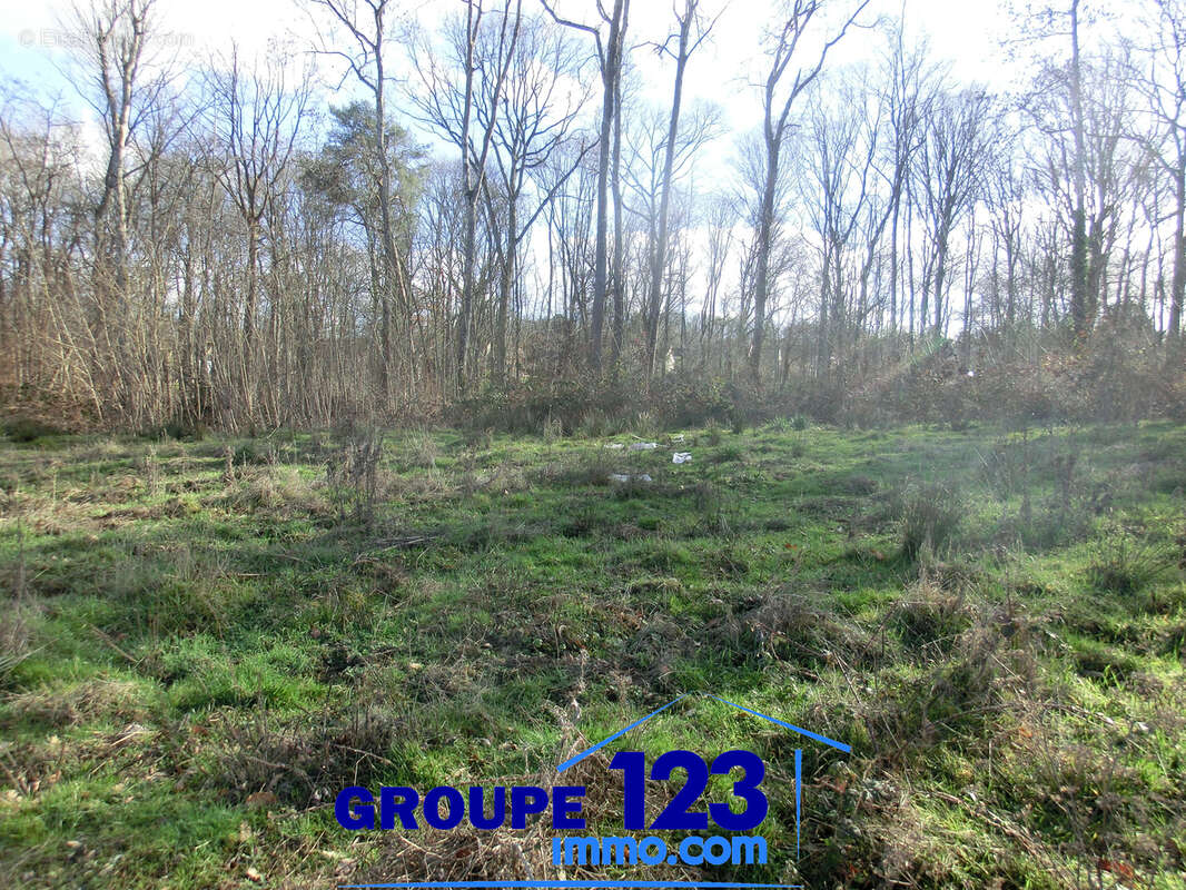 Terrain à APPOIGNY