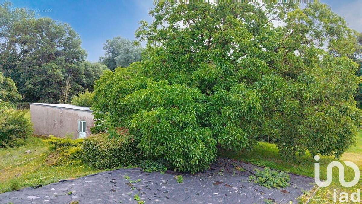 Photo 9 - Maison à LA REGRIPPIERE