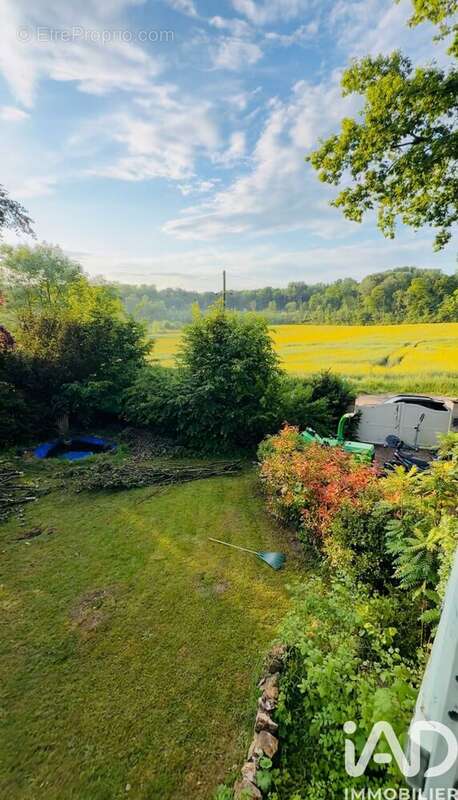 Photo 7 - Maison à MORMANT