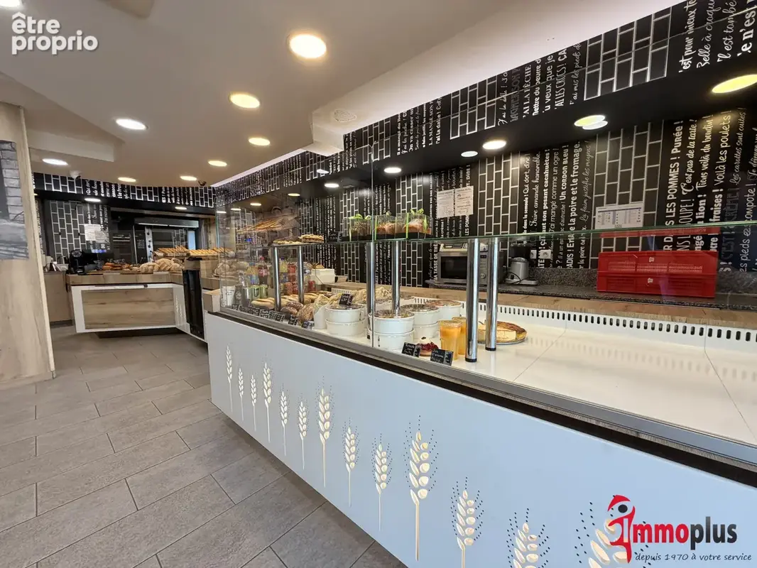 Photo Commerce à Rixheim au prix de 295 400€